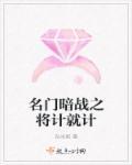 名门暗战视频