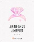 总裁是小鲜肉有声