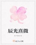 辰光熹微是什么意思