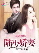 霸道总裁陆少偷心妻