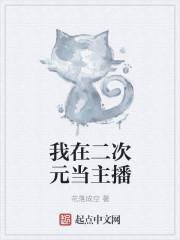 我在二次元当主播飞卢