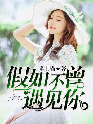 假如不曾遇见你 主要内容