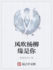 风吹杨柳岸歌词