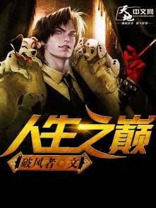 完整版人生巅峰