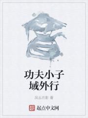 功夫小子最后一关