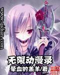 无限动漫录(火翼神龙)