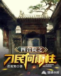 四合院之刁民何雨柱完结