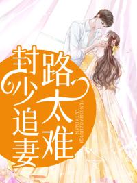 封少追妻路太难txt