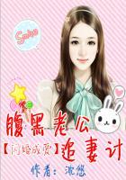 闪婚成爱腹黑老公追妻计沈悠沈筱最新章节更新时间