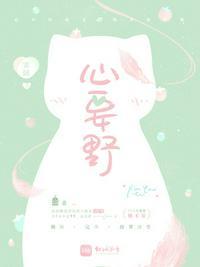 心要野完整版歌曲