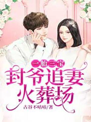 一孕三胎钟浈封北宸