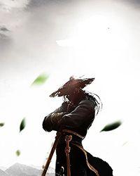 朱雀玄武是什么神兽