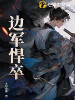 边军悍卒(快眼看书)