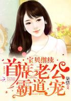 首席老公霸道宠宝贝继续在线观看