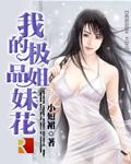 我的极品姐妹花复洛