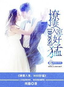 撩妻入怀gl百度