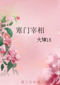 寒门宰相女主