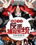 海贼王之反派