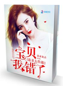 追妻大作战:宝贝,我错了